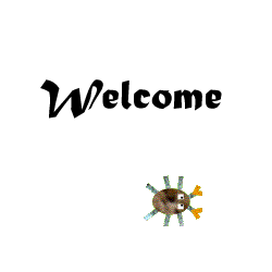 Welcome + Canci